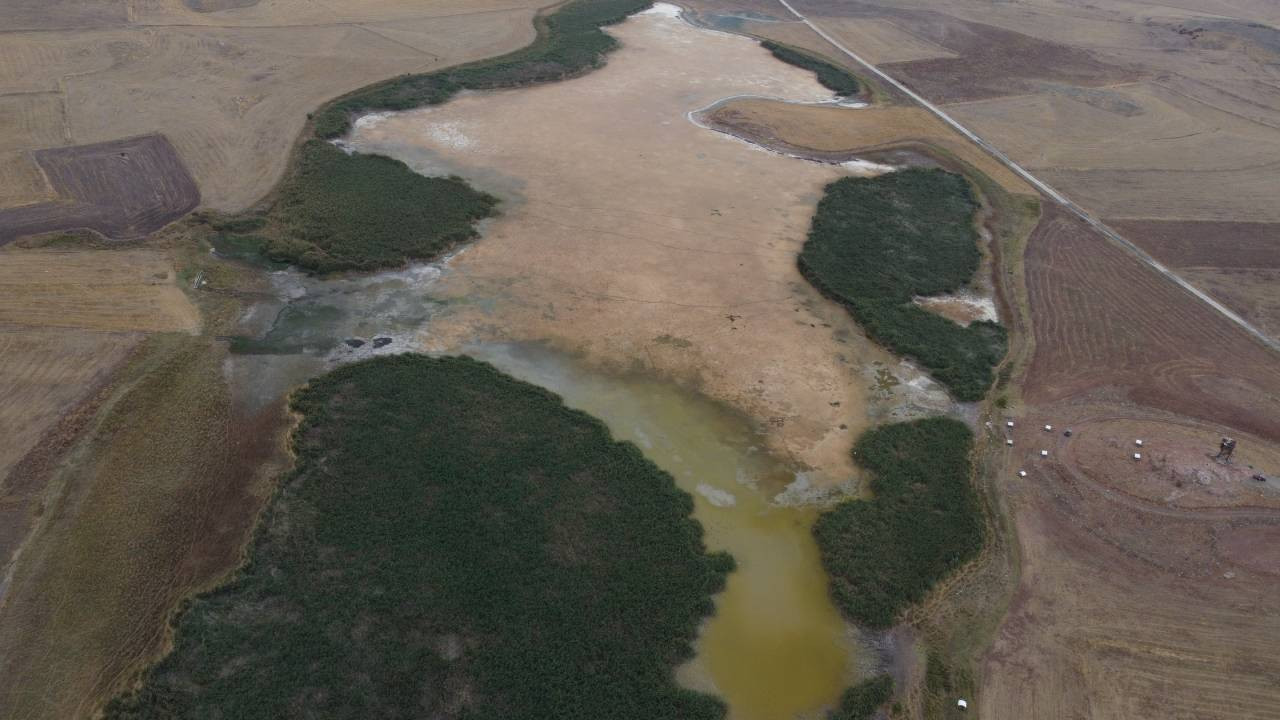 Konya'daki göçmen kuşların uğrak yeri Kömüşini Gölü kurudu