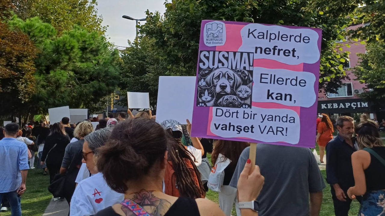 Hayvanseverler 'Katliam Yasası'na karşı Yenikapı'dan seslendi