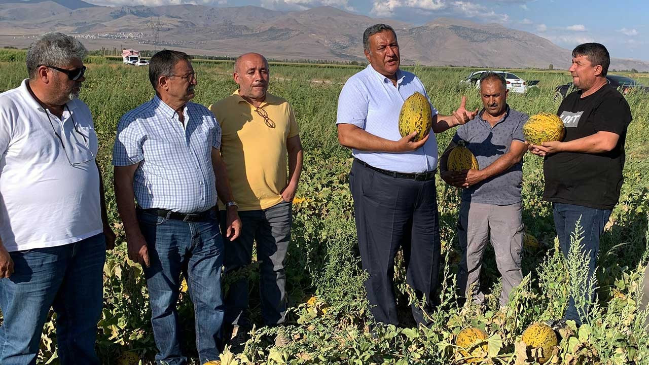 Ömer Fethi Gürer: Karpuz gibi kavun da tarlada kaldı