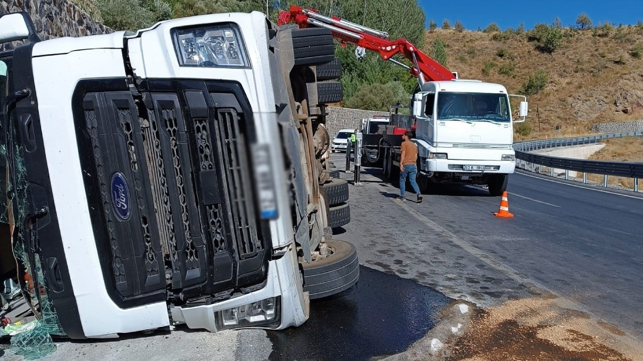 Bitlis'te devrilen TIR'ın dorsesindeki 100'e yakın koyun ve keçi öldü