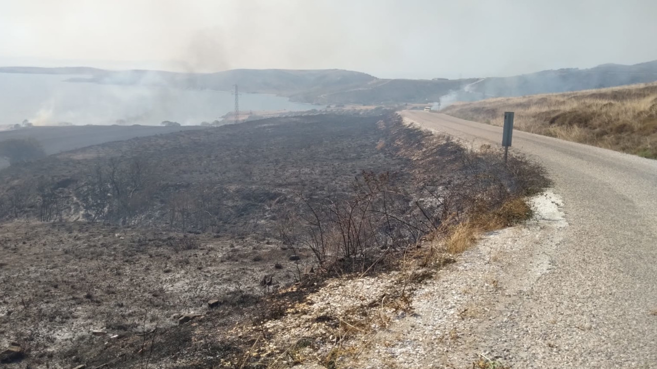 Erdek'te ot yangını: 100 dönüm zarar gördü