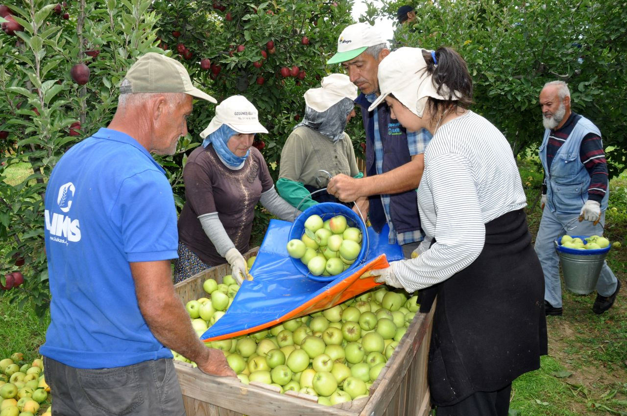 Elmada 'kalıntı' uyarısı: 47 üreticiye ceza uygulandı - Sayfa 3