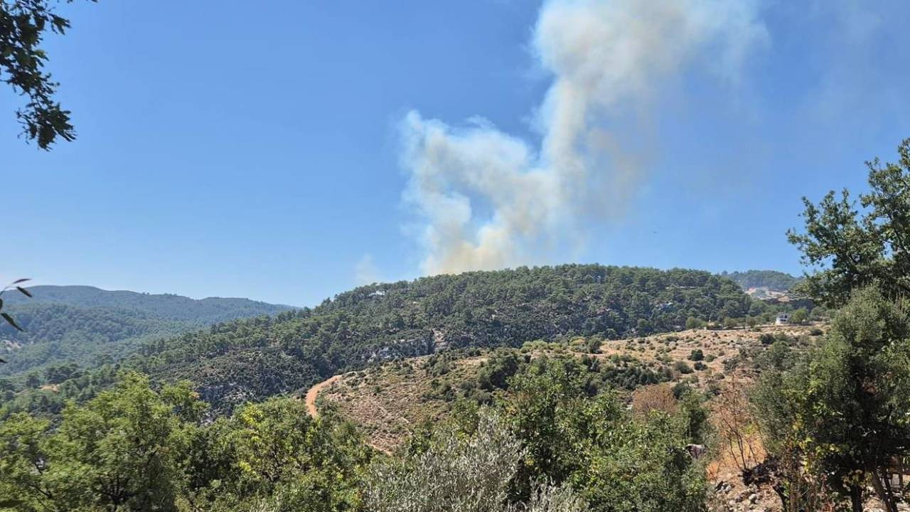 Kaş'ta orman yangını çıktı