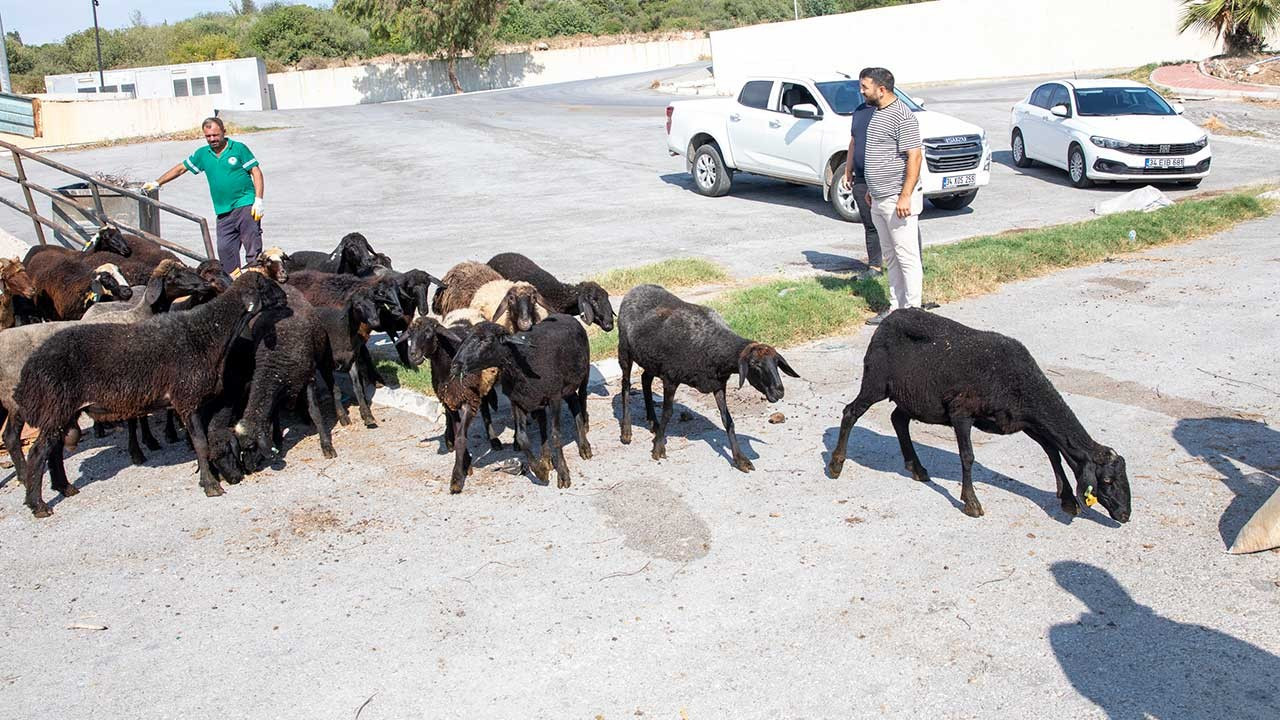 ‘Hadi Gel Köyümüze Destek Verelim’ projesiyle üreticiye destek