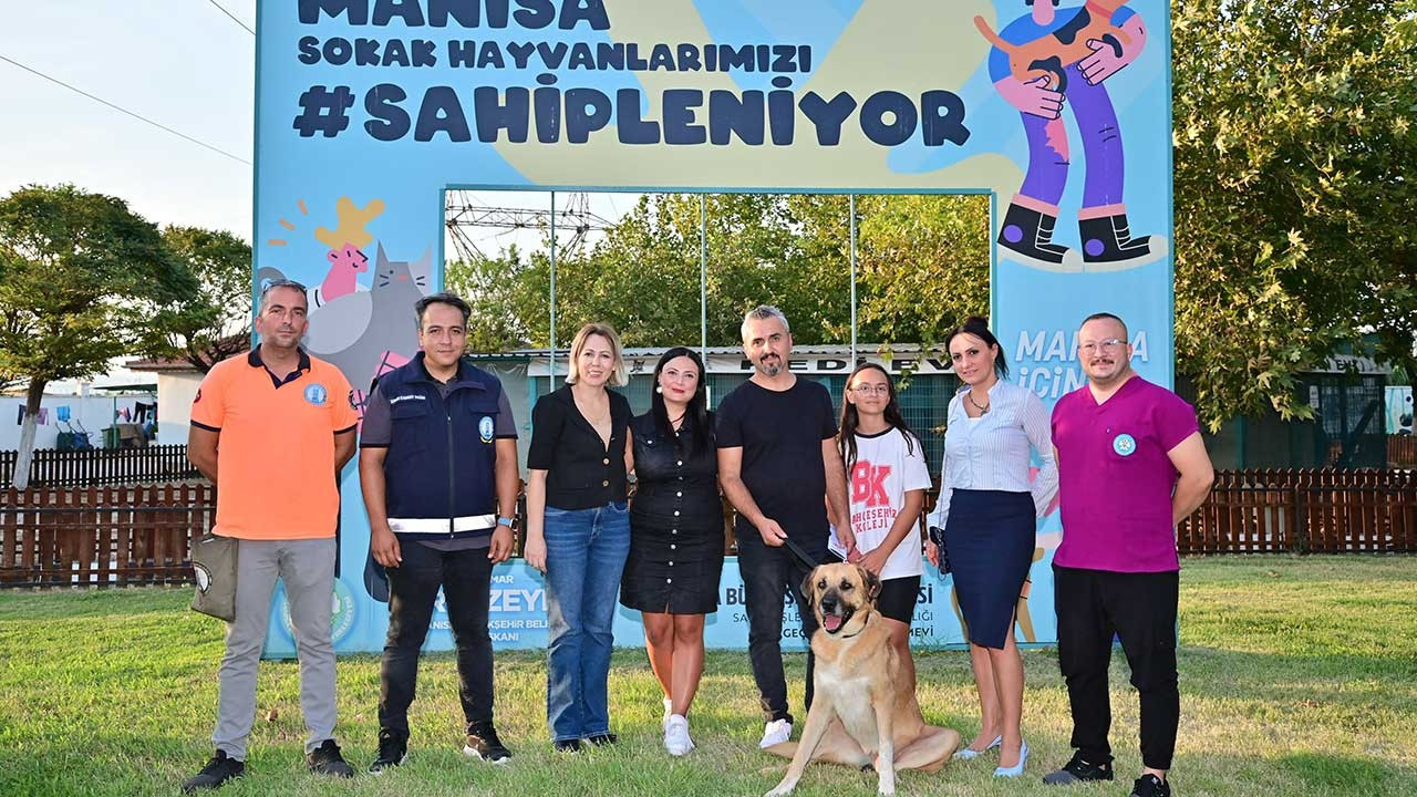 Manisa’da yılbaşından bu yana 109 sokak hayvanı yeni yuvasına kavuştu