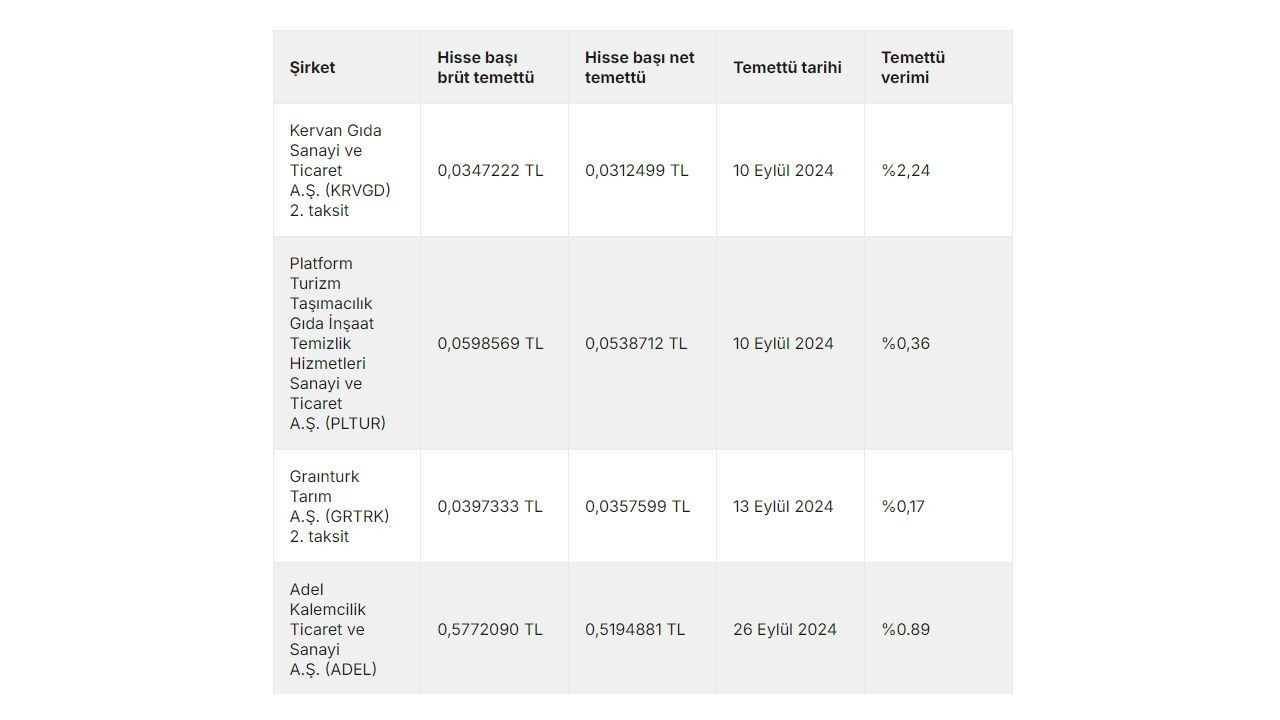 Borsa İstanbul'da 43 şirket temettü dağıtıyor: Rakamlar belli oldu - Sayfa 2