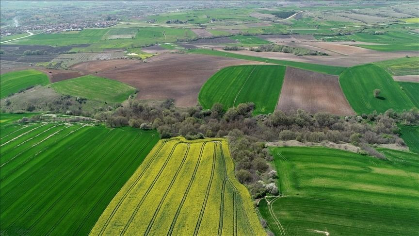 Tapusu olana devlet kira verecek: Şartlar belli oldu - Sayfa 8