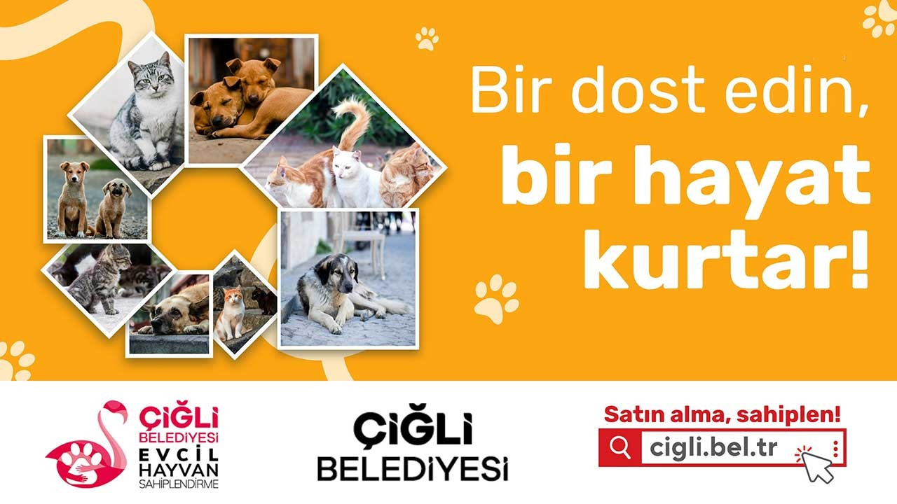 Çiğli Belediyesi Evcil Hayvan Sahiplendirme Platformu kurdu