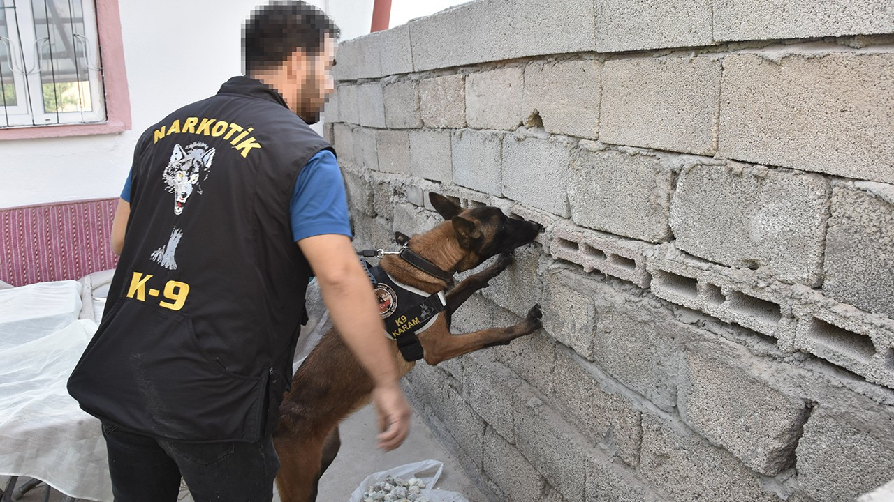 Nevşehir'de dedektör köpekleriyle uyuşturucu operasyonu: 48 gözaltı