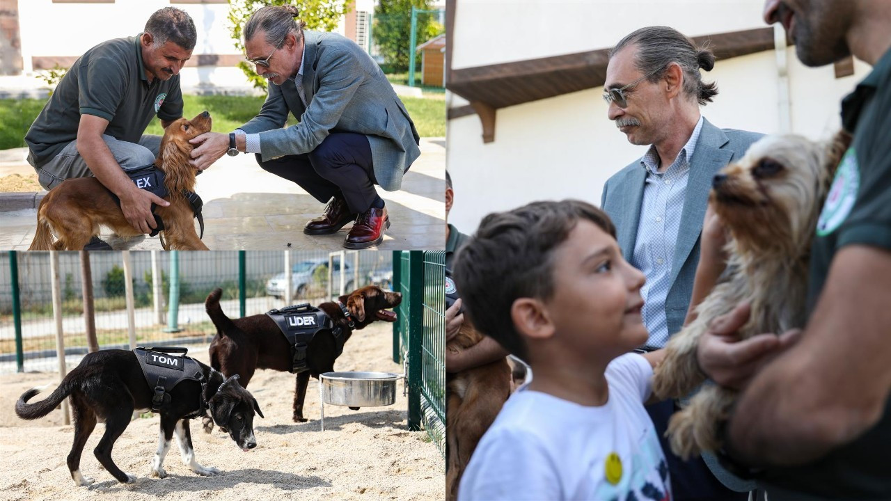 Beşikçioğlu sözünü tuttu: 5 köpek belediyede görevlendirildi