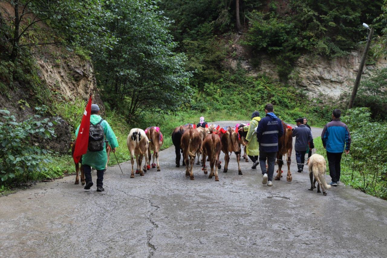 Doğu Karadeniz yaylacıları renkli görüntülerle evlerine dönüyor - Sayfa 4