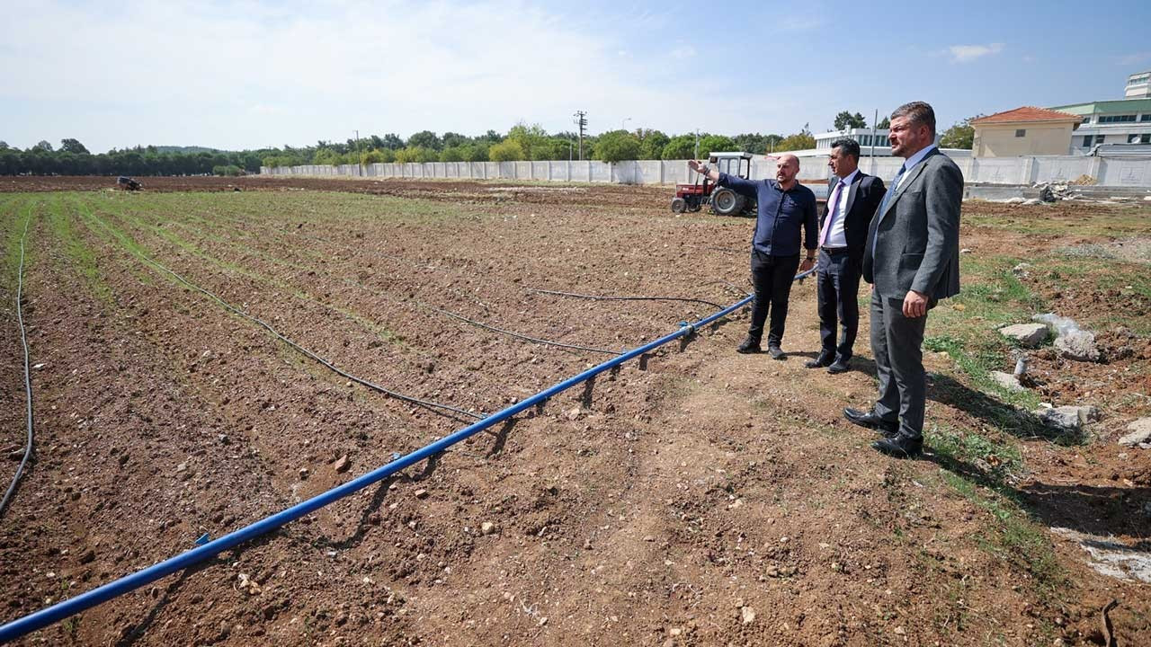 CHP'li Erhan Adem: Belediyelerimizin uygulamaları tarım politikamızın göstergesi