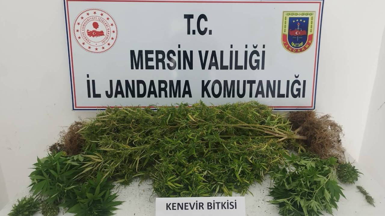 Mersin'de uyuşturucu operasyonu: 4 zanlı yakalandı