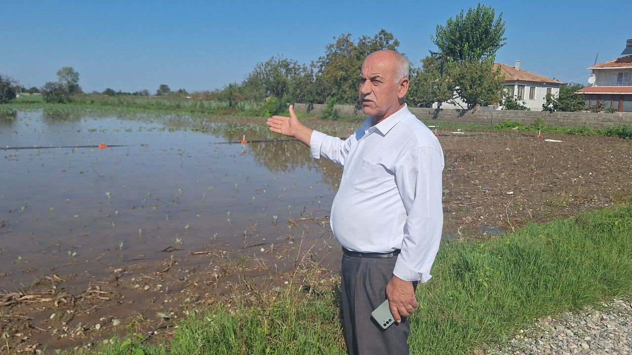 Aşırı yağış Bafra Ovası'nı vurdu: 'Çiftçinin borçları ertelensin'