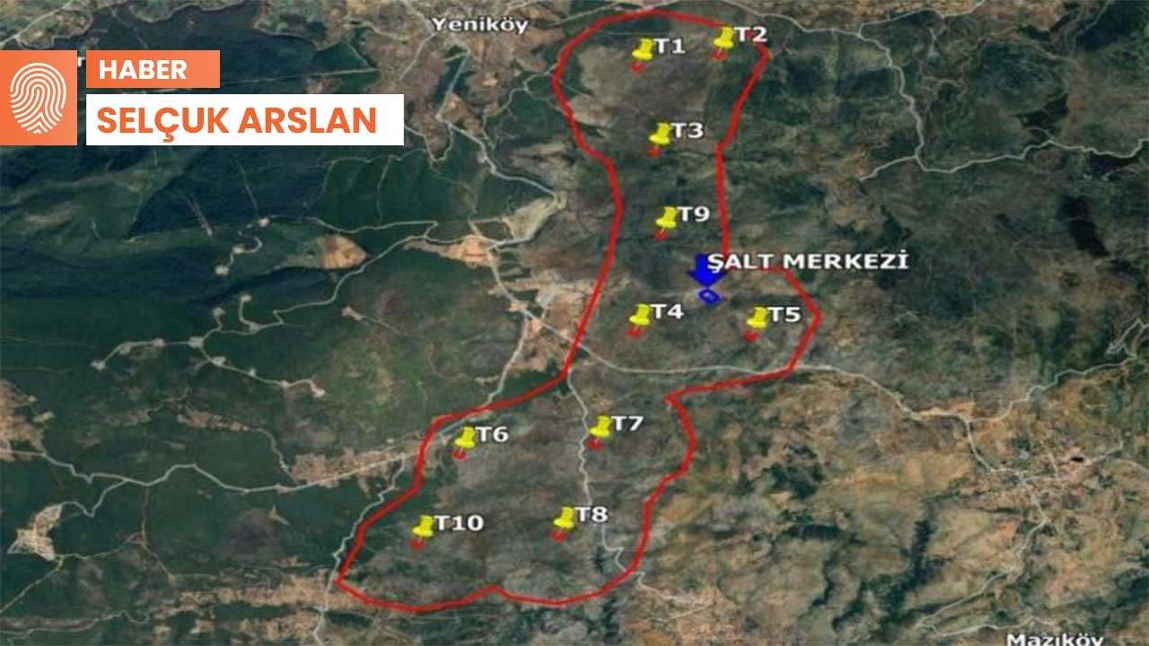 Bodrum’da yanan ormanlara RES yapılacak: Süreç başladı