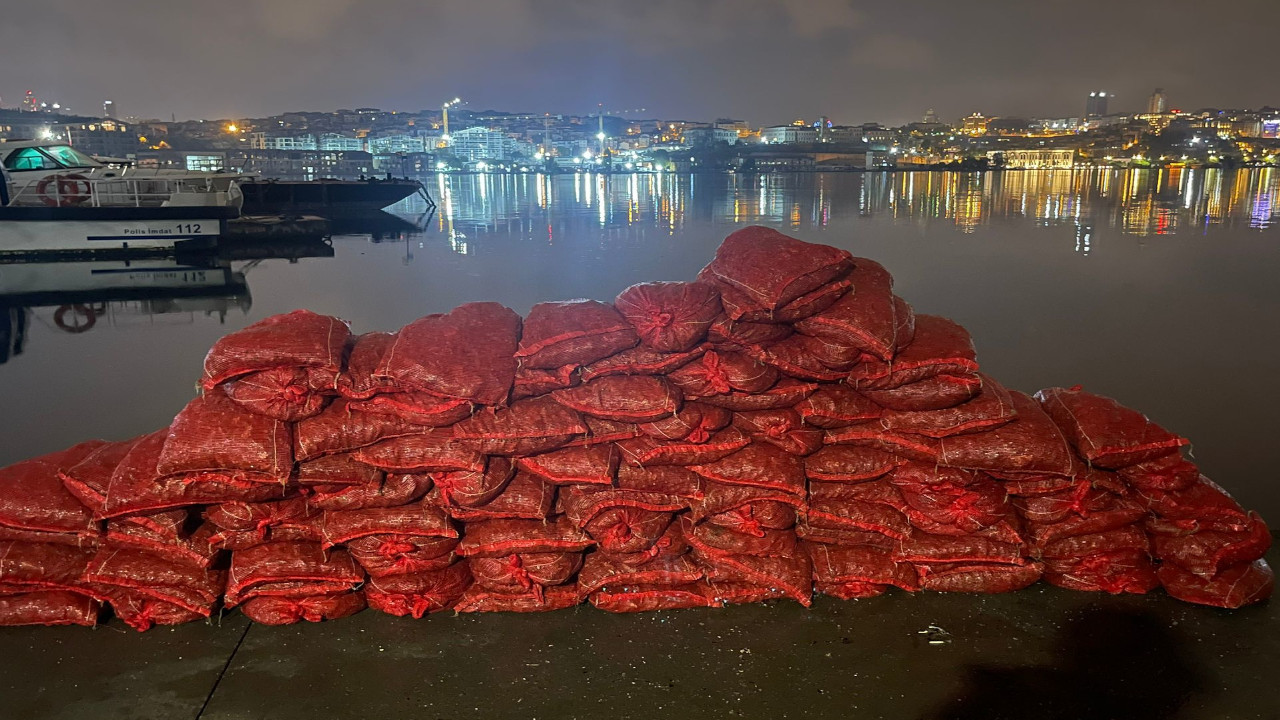 İstanbul'da kaçak midye avına ceza