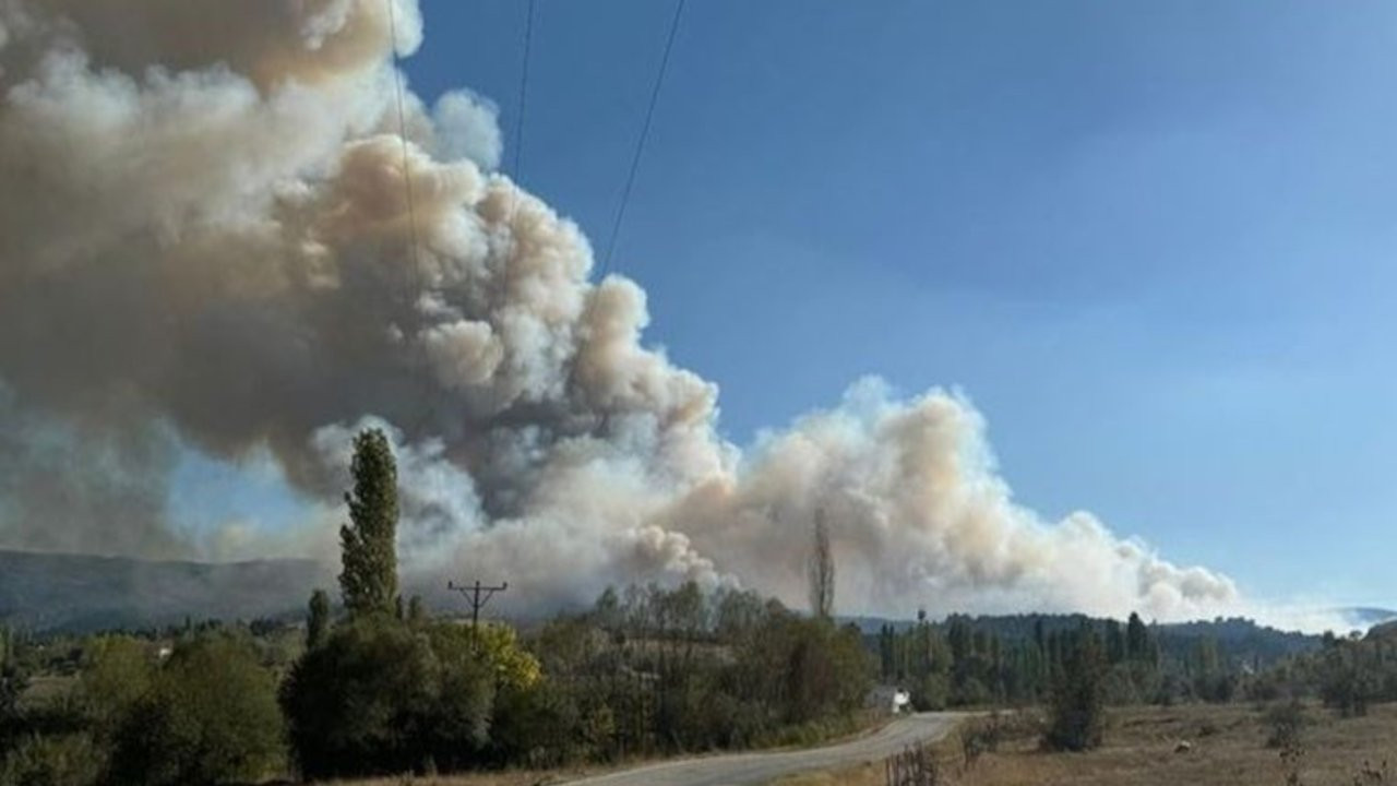 Manisa ve Uşak'ta orman yangını: Ekipler müdahale ediyor