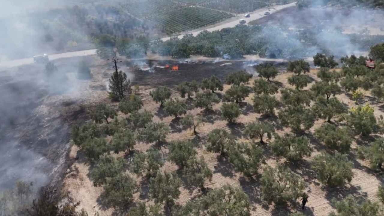 Mudanya'da yangın: Havadan müdahale ediliyor