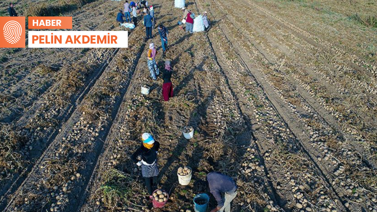 Tarımda çalışanların yaş ortalaması da ölüm oranı da yüksek