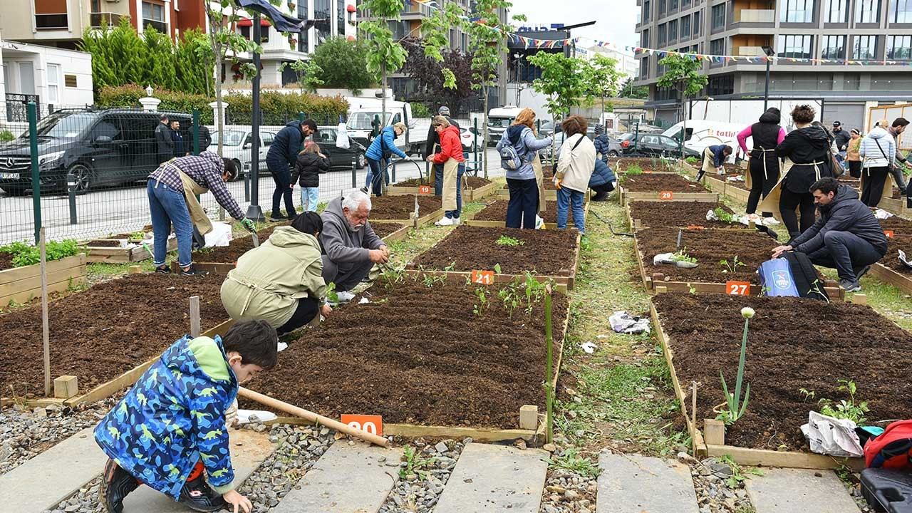 Kadıköy Bostanları’nda kış dönemi başlıyor