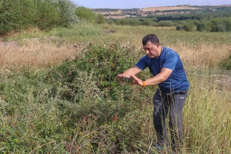 8 bin yıllık Hevsel Bahçeleri kelebeklerle renklendi - Sayfa 2