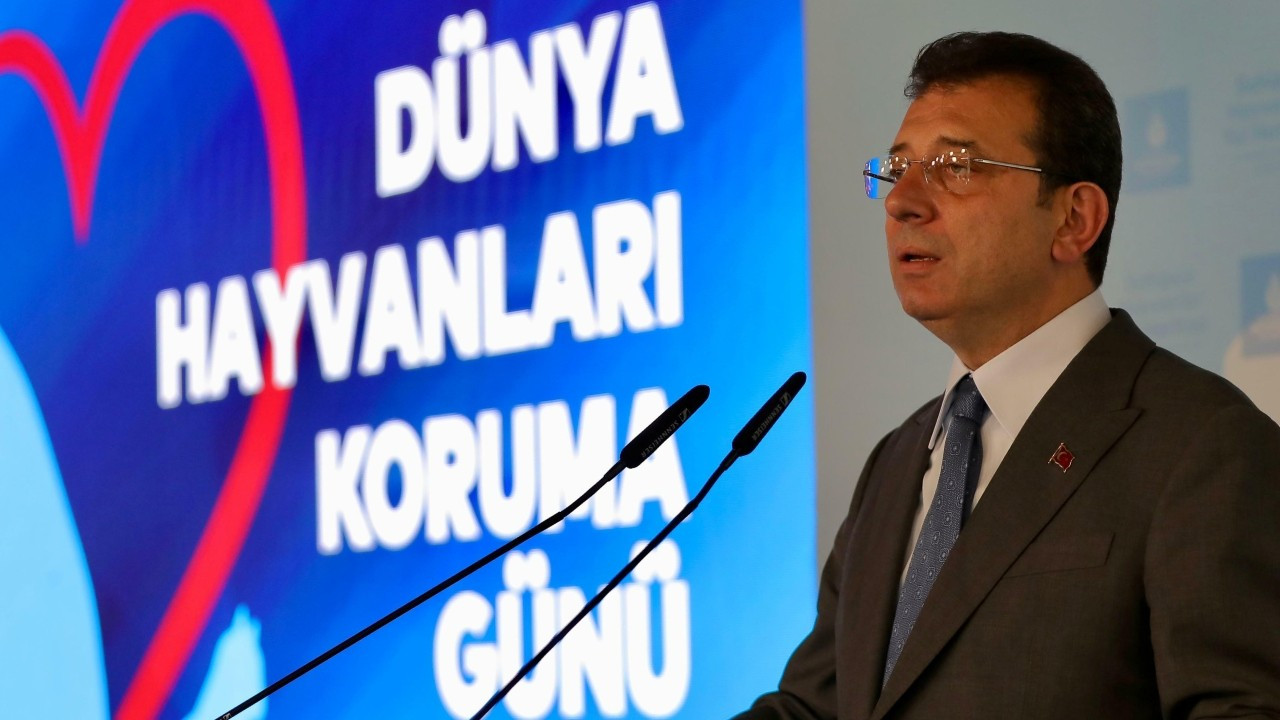 Ekrem İmamoğlu'ndan sokak hayvanları açıklaması: Uyutulmasına asla izin vermeyeceğiz