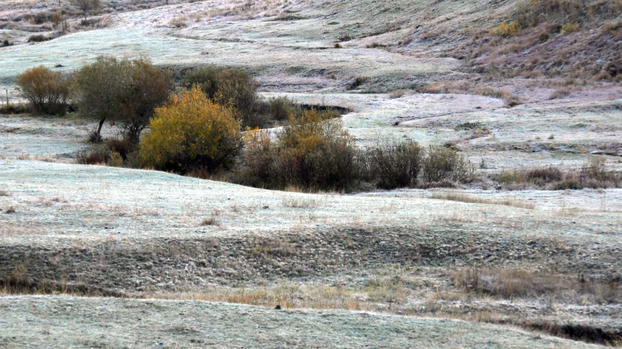 Kars'ta soğuk hava kendisini gösterdi