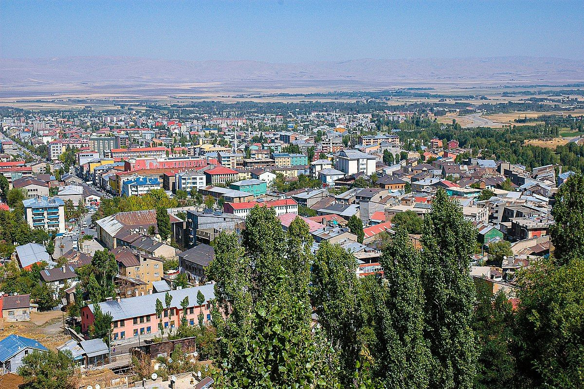 Muş'ta 'jaguar gördüm' iddiası - Sayfa 1