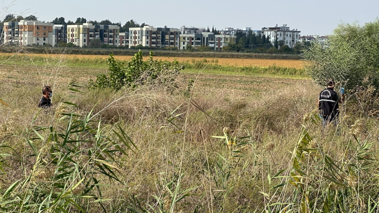 Adana'da sazlıkta parçalanmış ceset bulundu