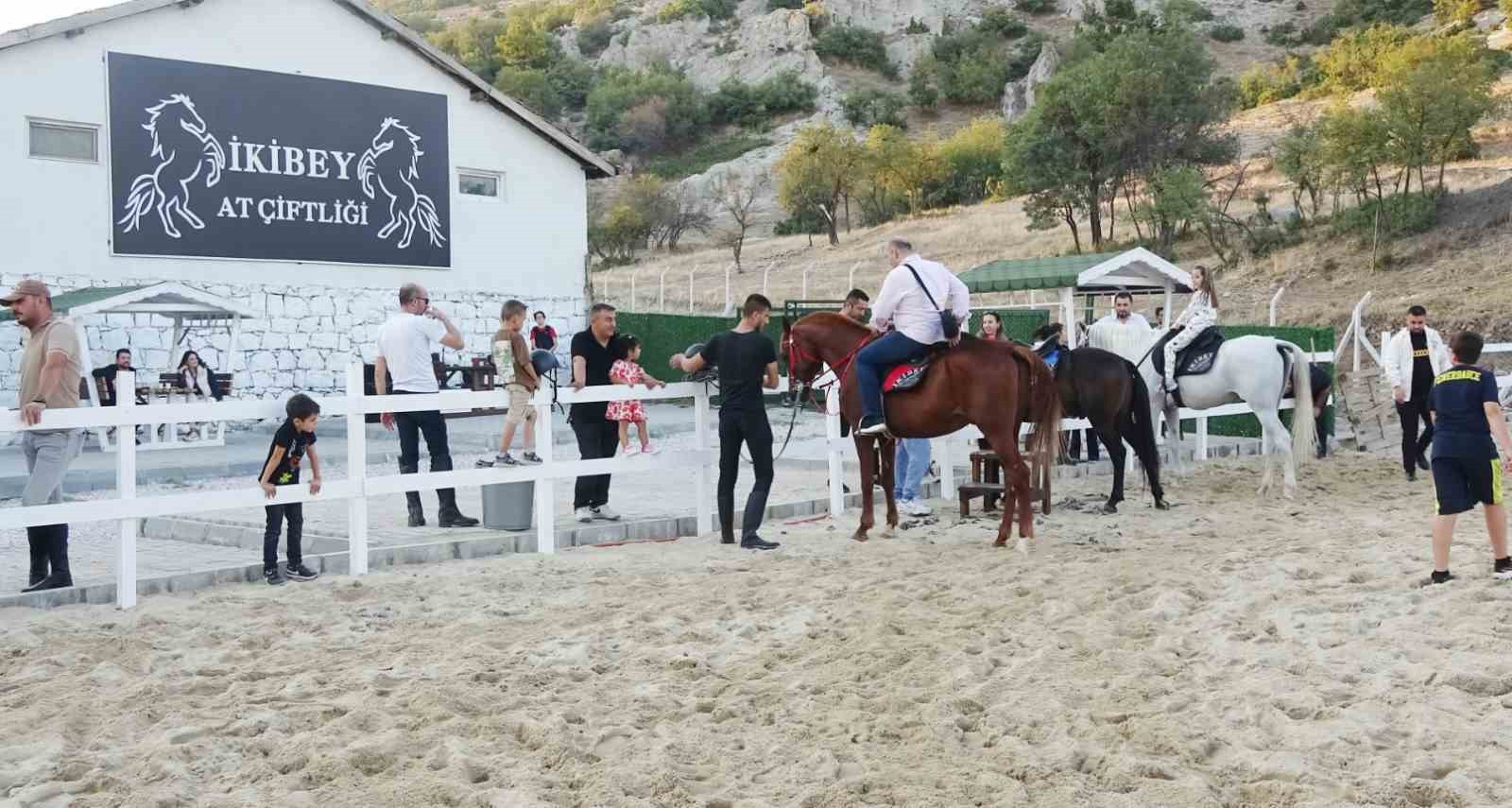 Tavşanlı’daki at çiftliği yoğun ilgi gördü