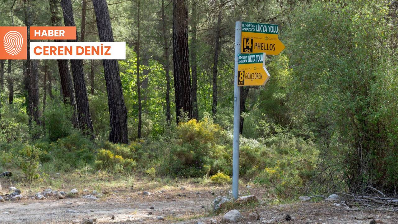 Kaş’ta Likya Yolu’nun geçtiği ormana tesis ihalesi: Halk ayakta