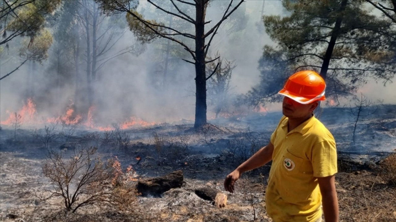 Muğla'da bu yıl 425 yangında bin 77 hektar alan zarar gördü