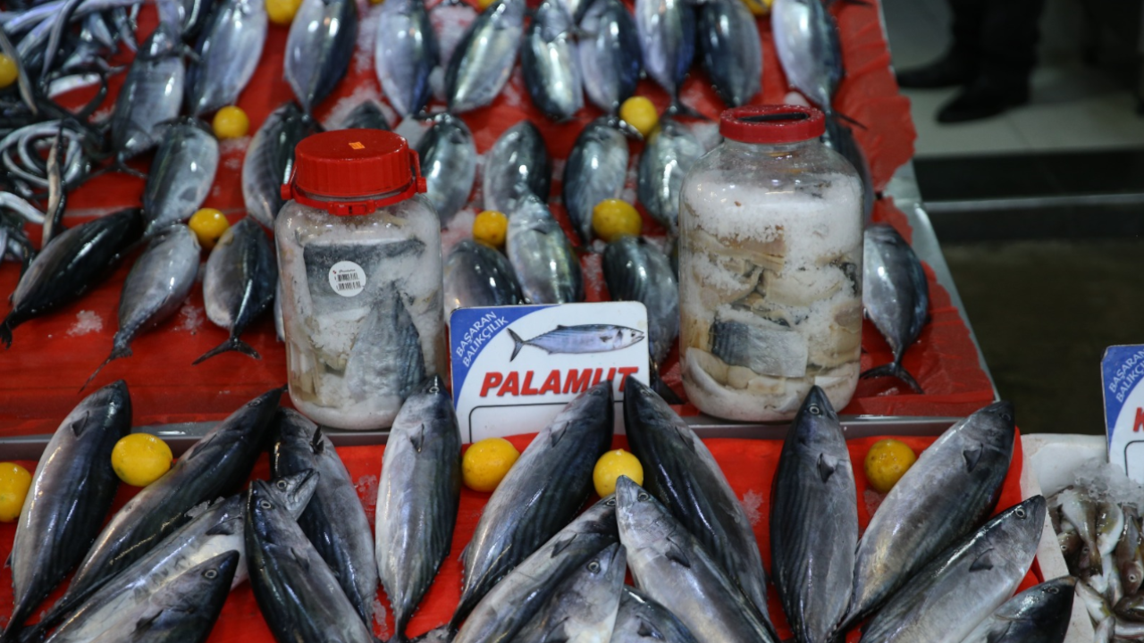 Karadenizli balıkçılardan palamut salamura tarifi