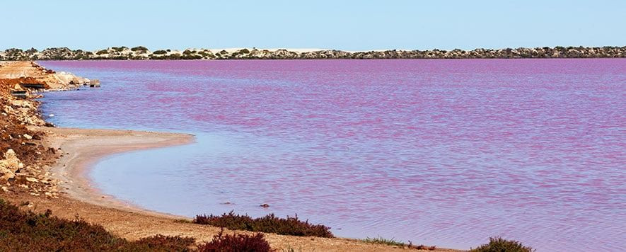 Gerçek olamayacak kadar pembe göl - Sayfa 2