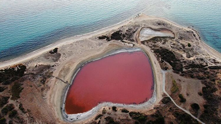 Gerçek olamayacak kadar pembe göl - Sayfa 1