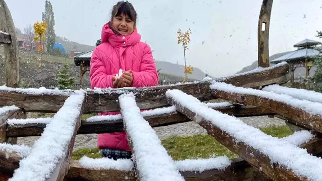 Ardahan'da gece başlayan kar sabah her yeri örttü