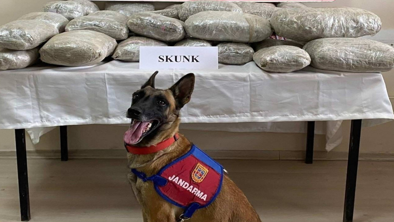 Van'da 28,5 kilo skunk ele geçirildi