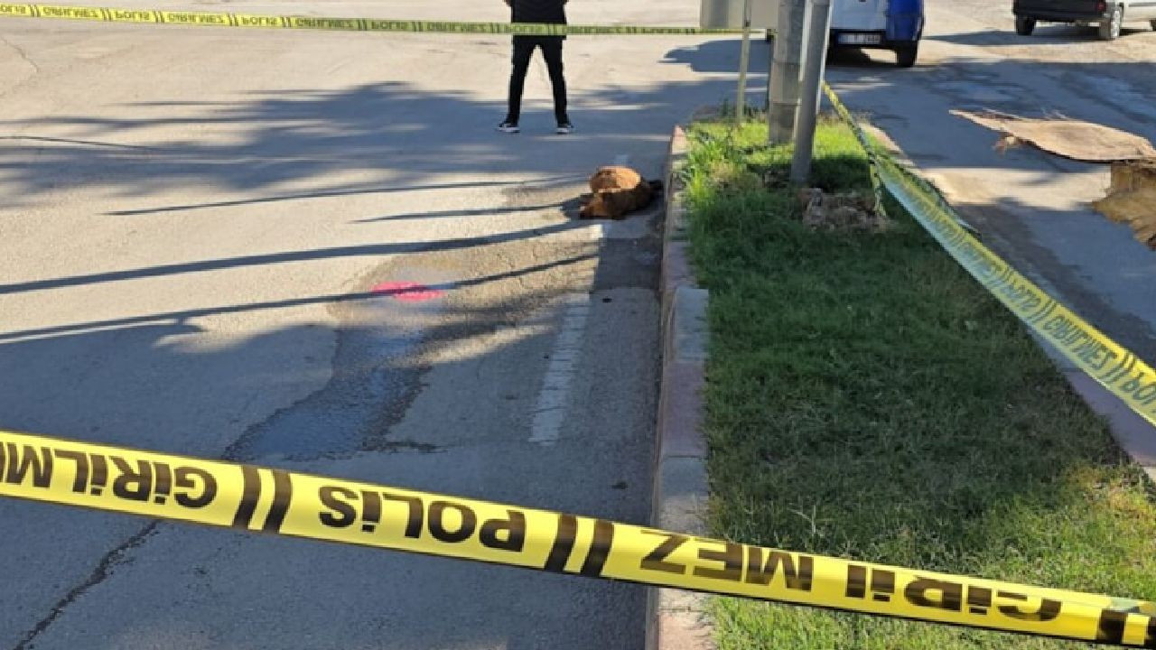 Trafik lambasından sızan kaçak, su içen köpeği öldürdü