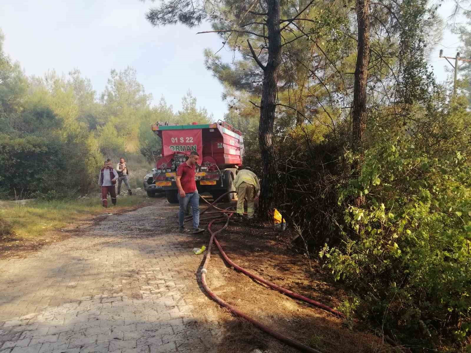 Osmaniye’de orman yangını