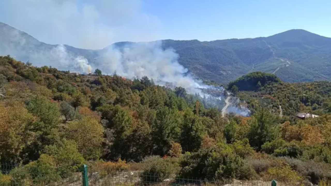 Alanya'daki yangın büyümeden söndürüldü