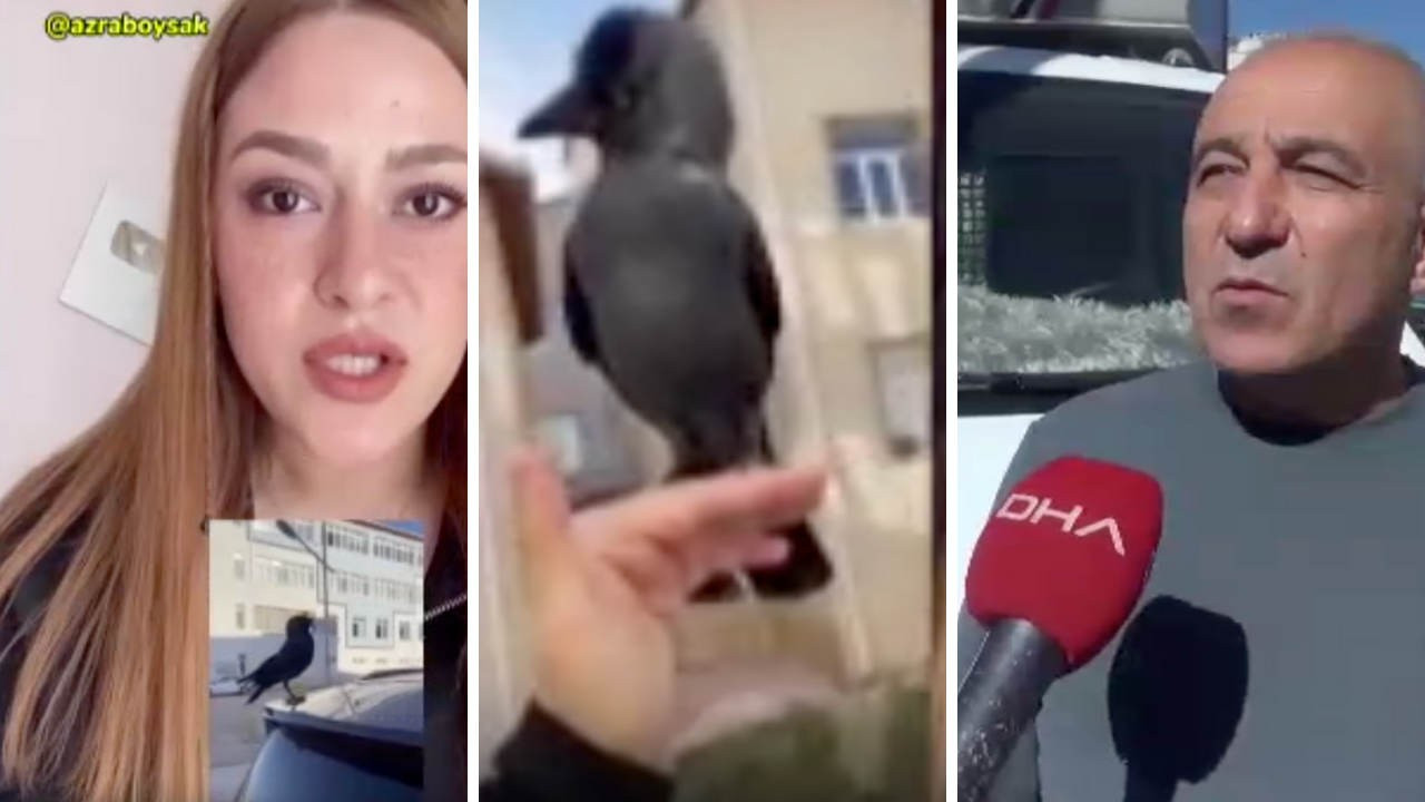 Karga videosuyla viral olan Azra Boysak ifadeye çağrıldı