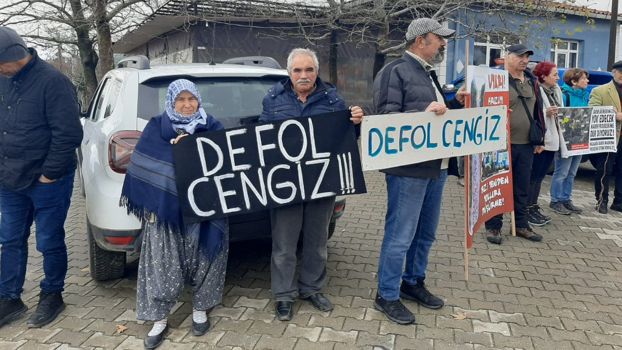 Cengiz Holding'ten Kazdağları'nda ağaç kesimi