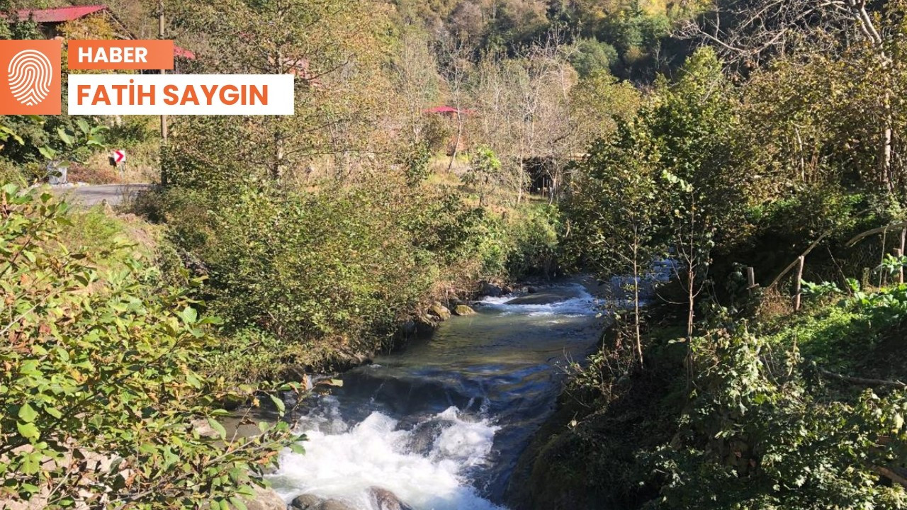 Artvin'de aynı dere üzerine 3'üncü HES: 'Klaskur'u kurutmayacağız'