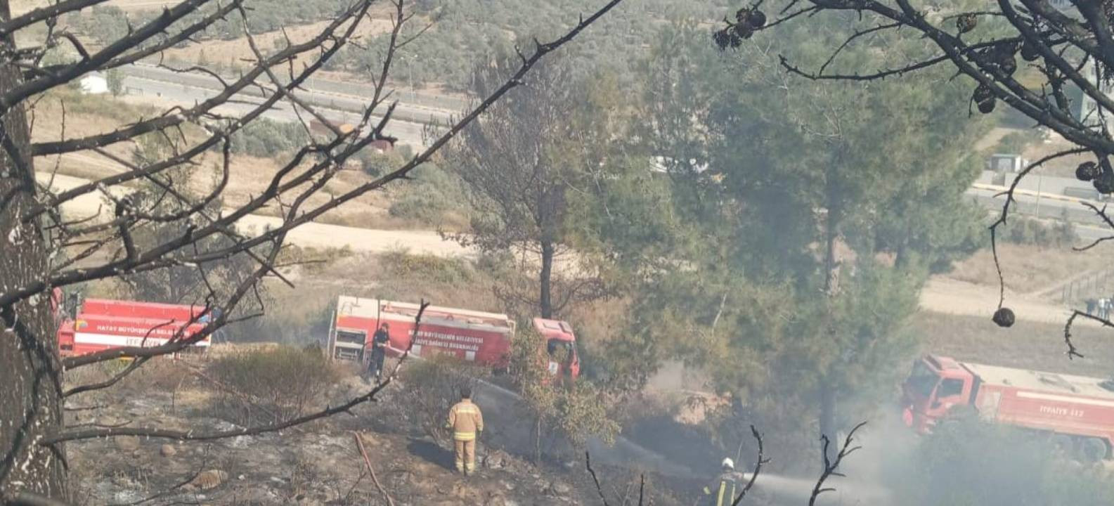 Antakya’daki orman yangını büyümeden söndürüldü