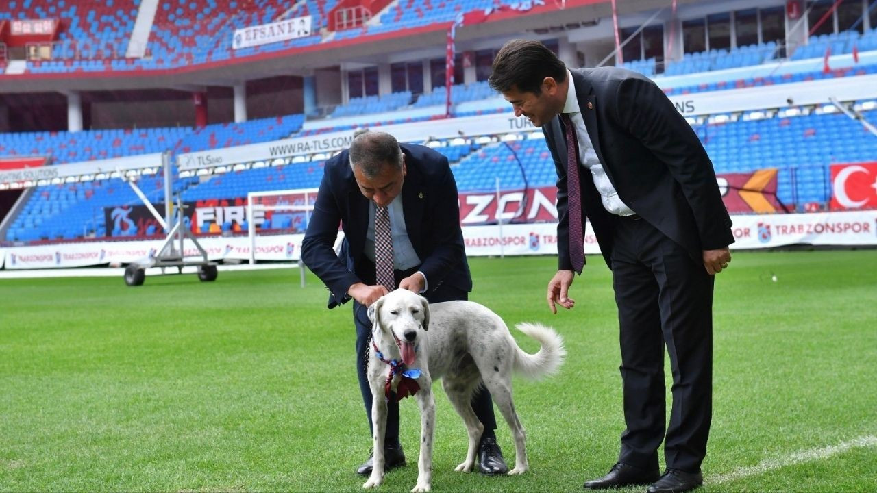 Maç sırasında sahaya giren 'Zibidi'yi Trabzonspor sahiplendi