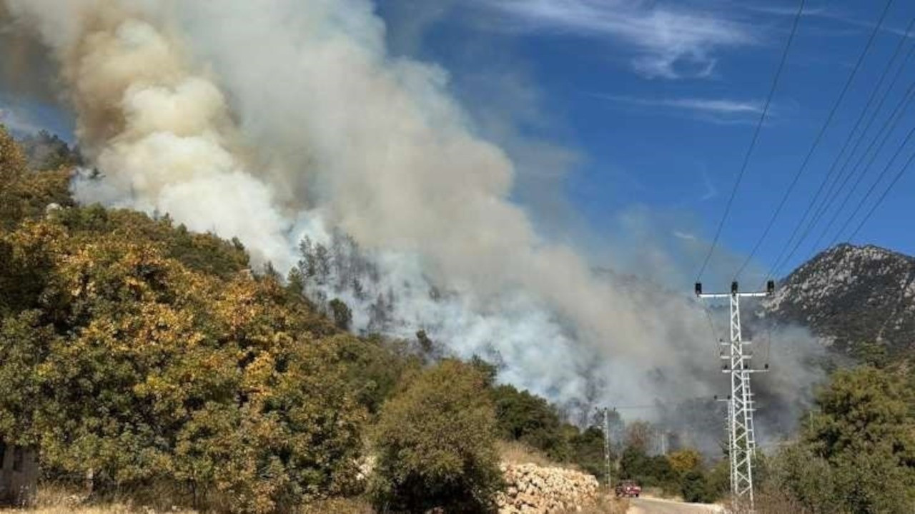 Antalya'da orman yangını: Ekipler müdahale ediyor