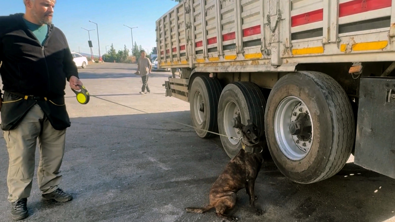 Narkotik köpeği 'Barbara' lastiğe saklanmış uyuşturucuyu buldu