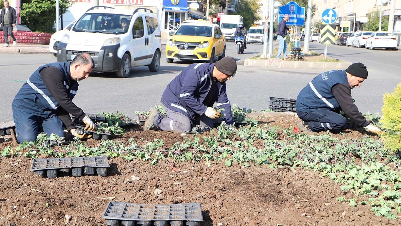 Diyarbakır’da 1 milyon çiçek toprakla buluşuyor