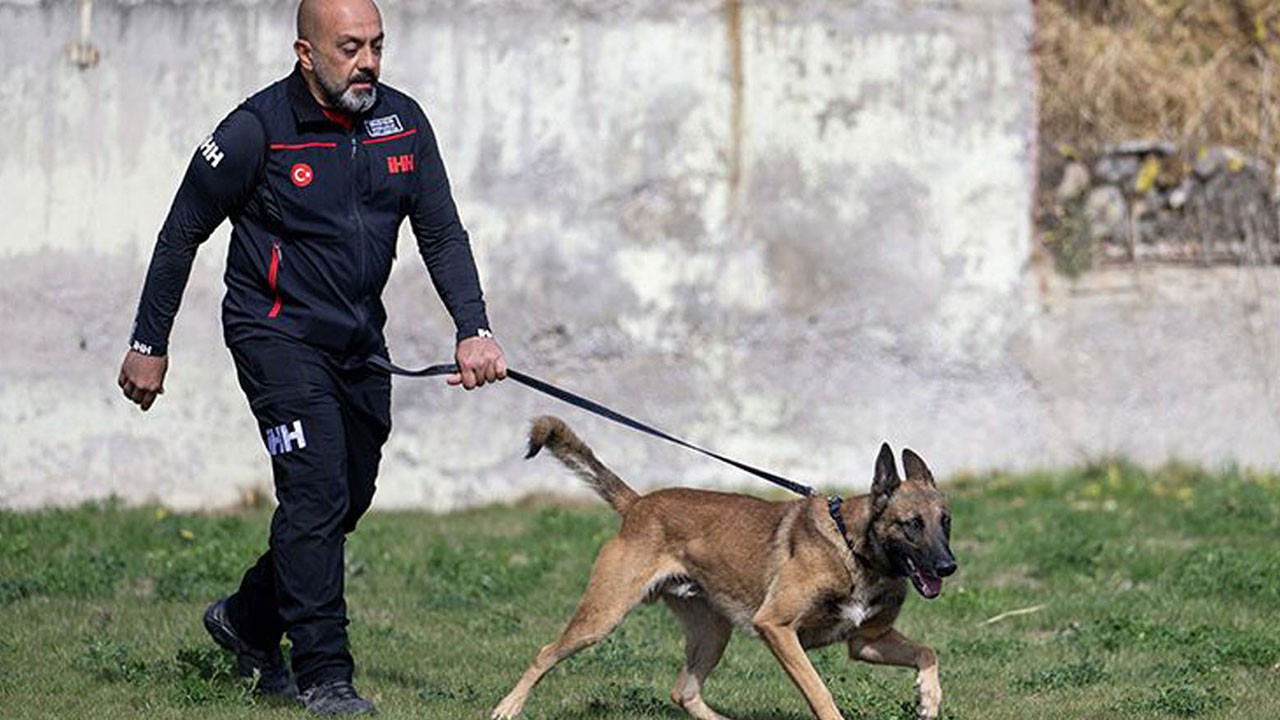 AFAD'ın Köpekli Arama Timleri sınavının birincisi Bozo oldu