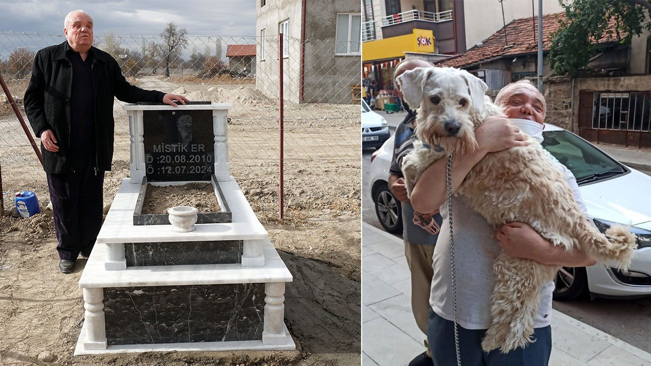 Ölen köpeği için arsa satın alıp, mezar yaptırdı